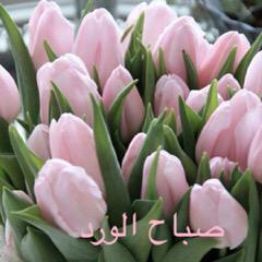 Ⓜ️HUSEEN ALDOOSERYⓂ️ tweet media