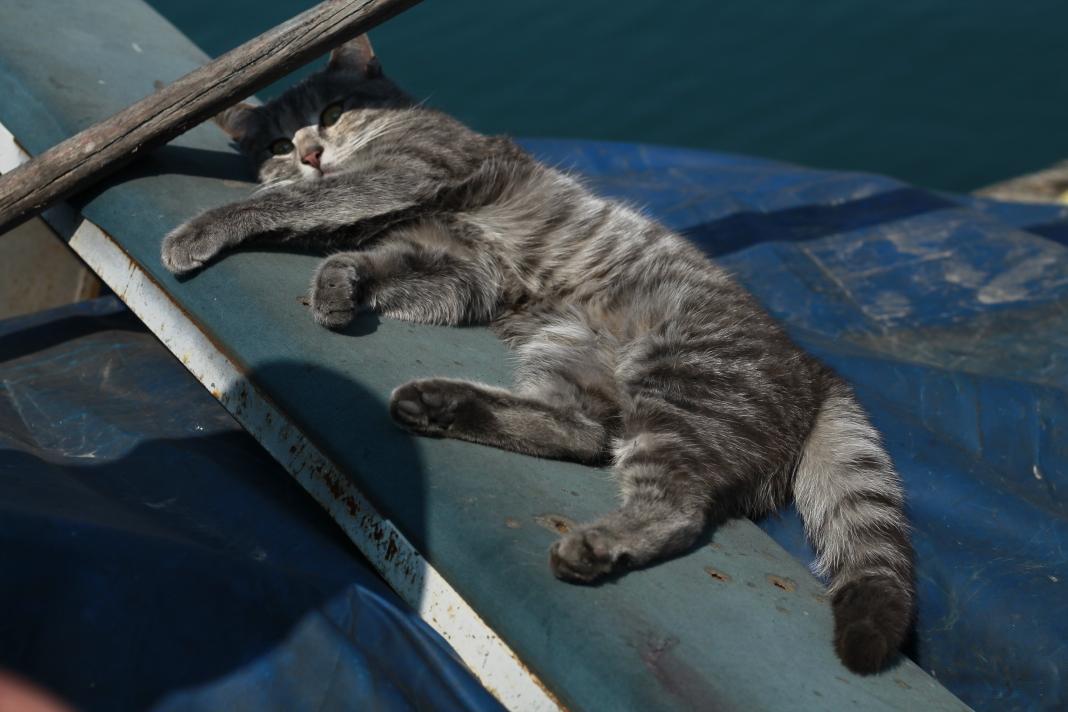 Fotoğrafçılık kursumuzdan kareler