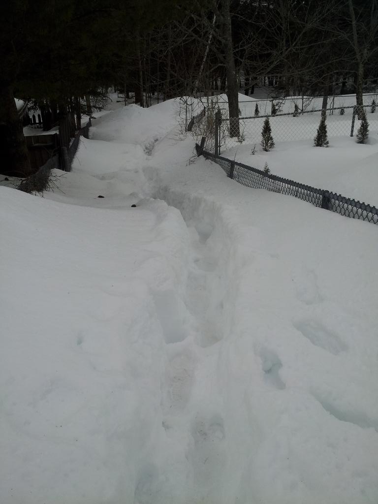 gCar's tweet photo. Sidewalks here are an adventure. http://t.co/2U0sT0vMvL