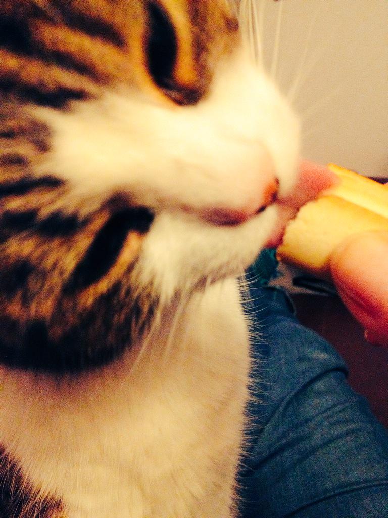 Love sharing mums figrolls #yumyuminmytum 😺