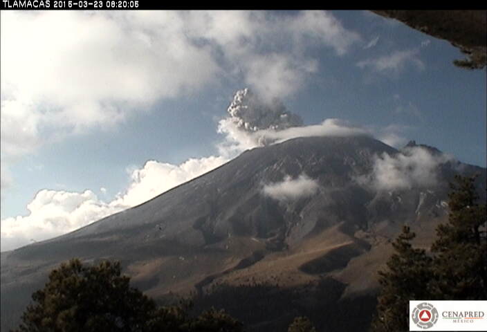 Coordinación Nacional de Protección Civil tweet media