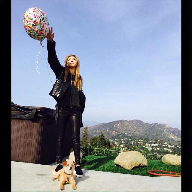 Happy birthday park bom   
