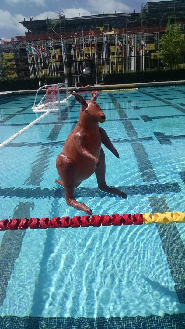 Skippy is ready to play.