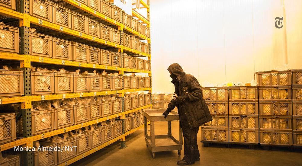 Breast milk is becoming an industrial commodity nyti.ms/1bnYh1u