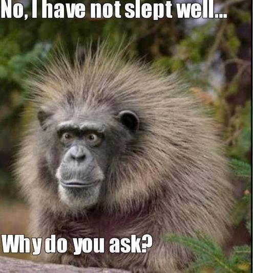 It's Monday...Did you really have to ask? #insomnia