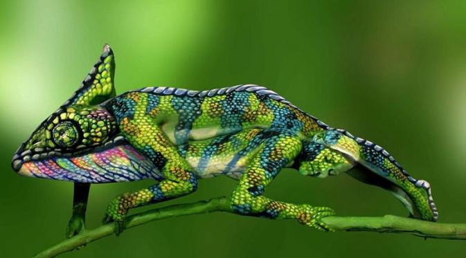 22nya... RT <a href="/swaragamafm/">SWARAGAMA 101.7 FM</a>: Coba perhatikan, ini gambar bunglon atau 2 orang perempuan? :) | #SunsetDrive