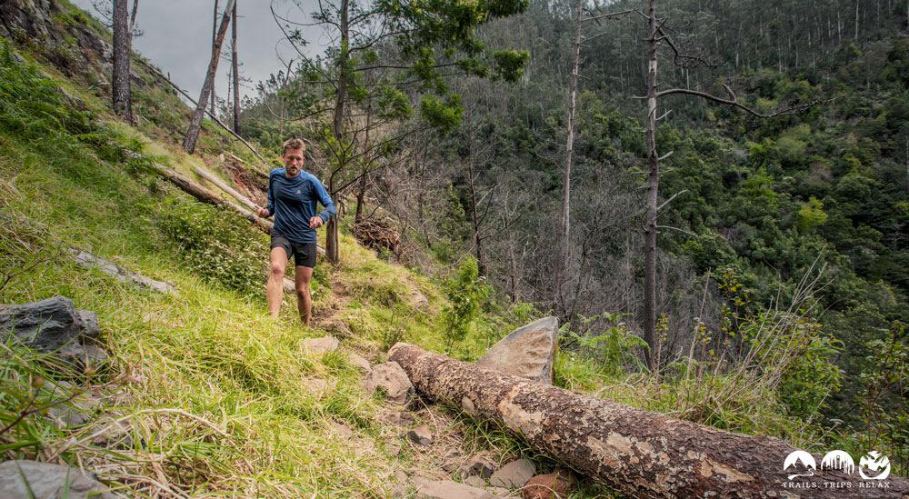 TrailsTripsRelax tweet media