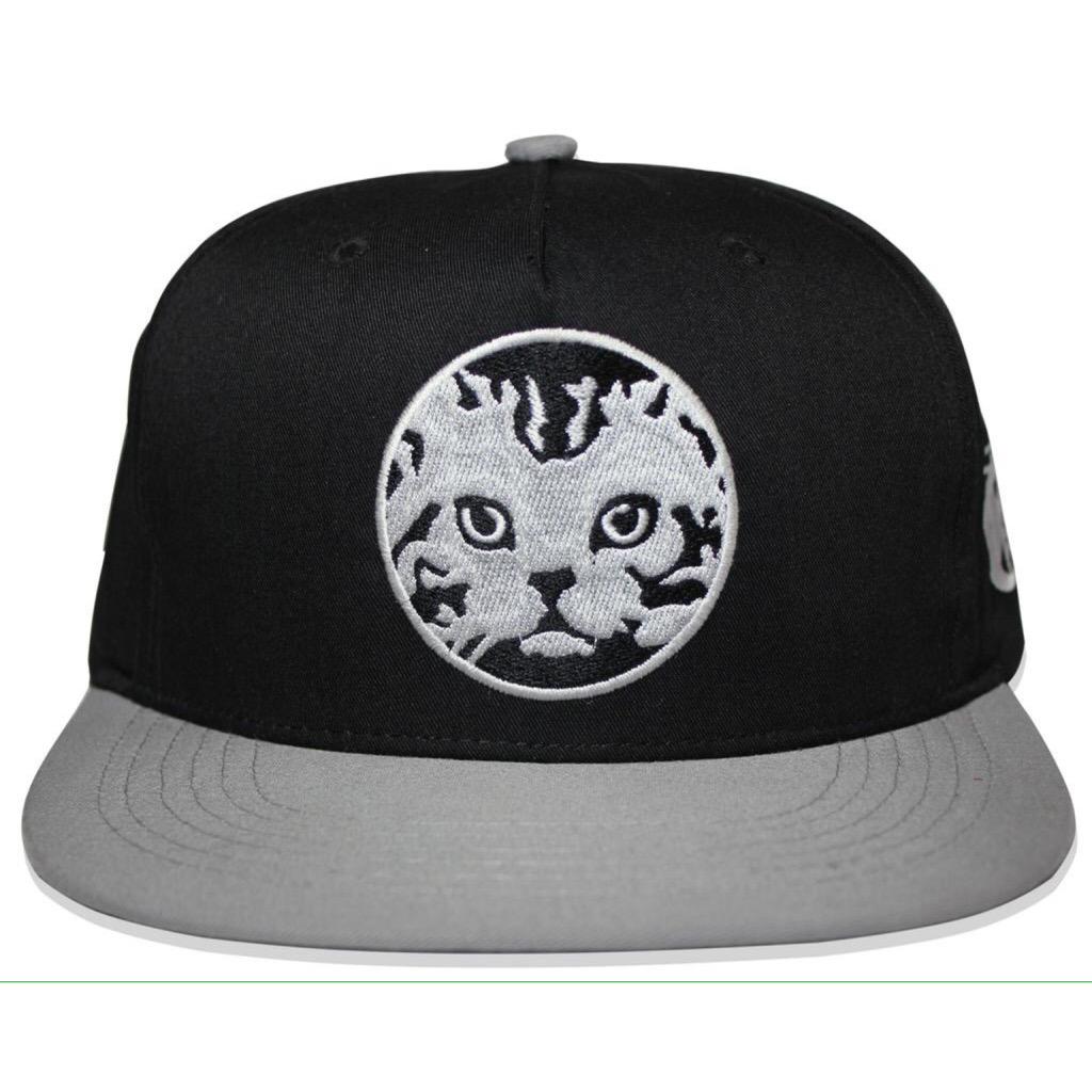 Daily Merch tweet media