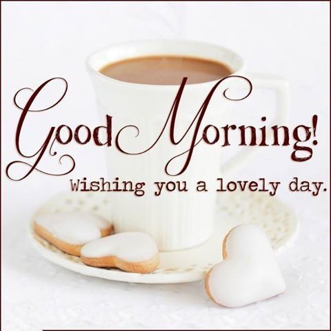 ShopSmoothly's tweet photo. Thank you for your following and your RTs!!!
GOOD MORNING! :)) http://t.co/caVwvbr9qw