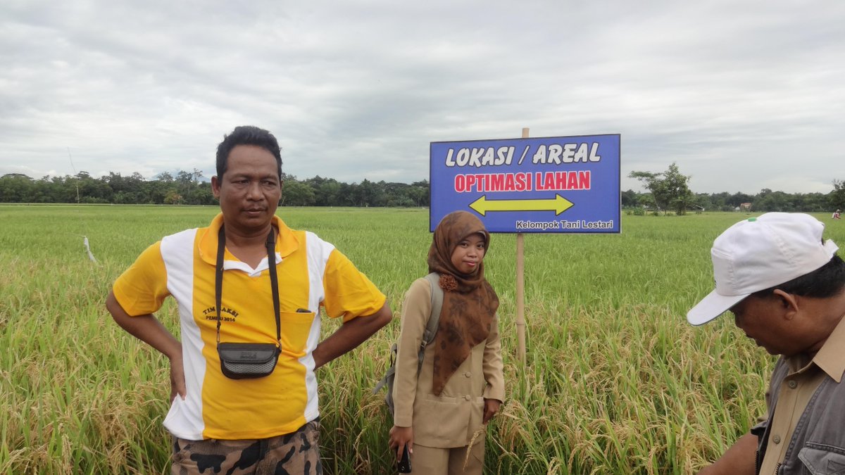 Triebee03's tweet photo. siap-siap mau panen http://t.co/tJkybMjEL2