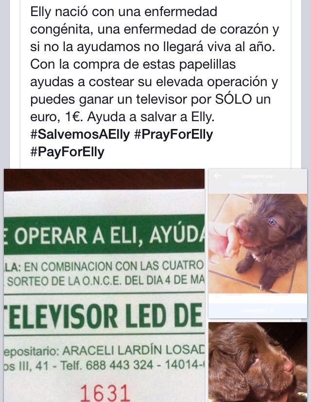 chicaamarin's tweet photo. #SalvemosAElly #PrayForElly #PayForElly http://t.co/GAkYhcyRtx