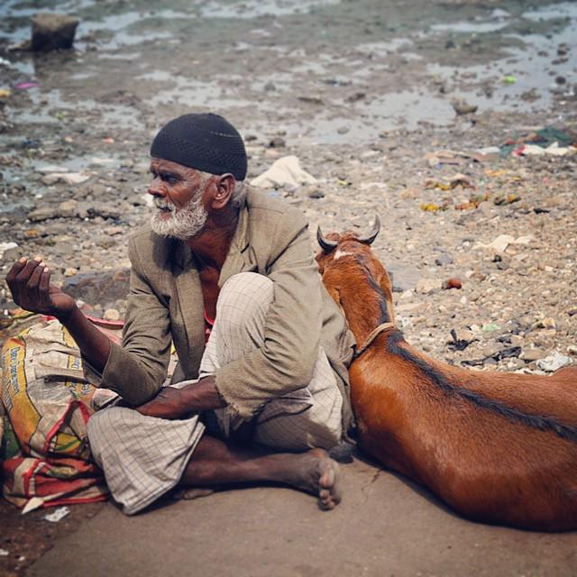 An #oldman with a #cap and his #goat at #HajiAliDargha in #Mumbai #india #mosque #beggar #people #sitting #begging …