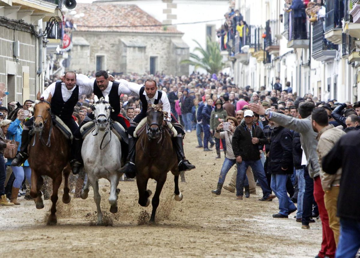 hoyextremadura's tweet photo. #Fotos | 161 jinetes al galope por La Corredera de Arroyo de la Luz http://t.co/VRRMpjXFrU vía @hoyextremadura http://t.co/B8dS97NnQJ