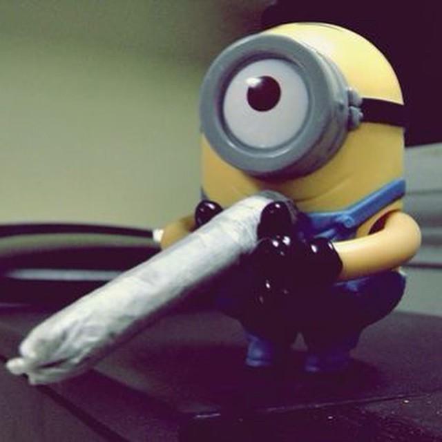 ServoVendi on Twitter minion  weed happines marijuana 