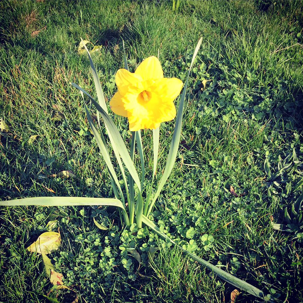 FiveBellsKent's tweet photo. The birds are singing in the trees &amp; the sun is out in Brabourne! Hopefully you will join us to soak it up.. http://t.co/94eFrq2LwE