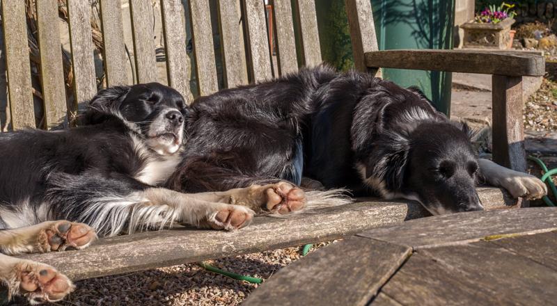 Good to see these 2 are bursting with life this morning