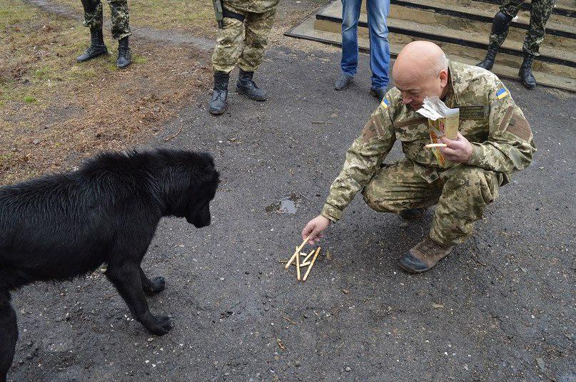 луганск наш луганск наш