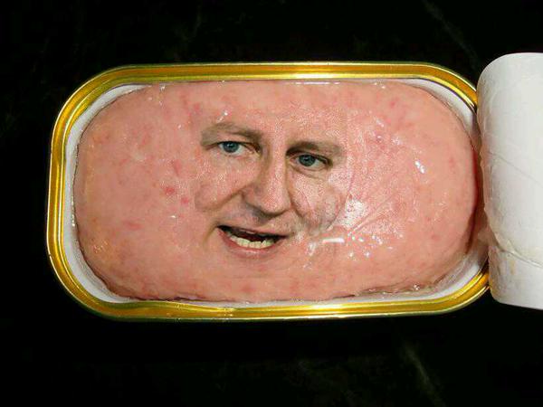 antonnewcombe's tweet photo. Your @David_Cameron Daily #DavidSpamron http://t.co/Sq6cnuzHfB