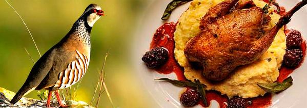 RT <a href="/excopesa/">Excopesa</a> En el #DíaMundialdelaSalud dedicado a la inocuidad  alimentos, recomendamos el consumo de carne de #caza