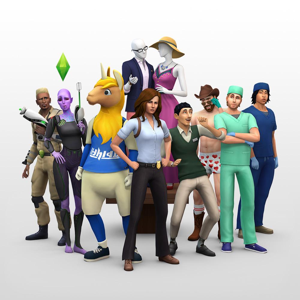 Sims support