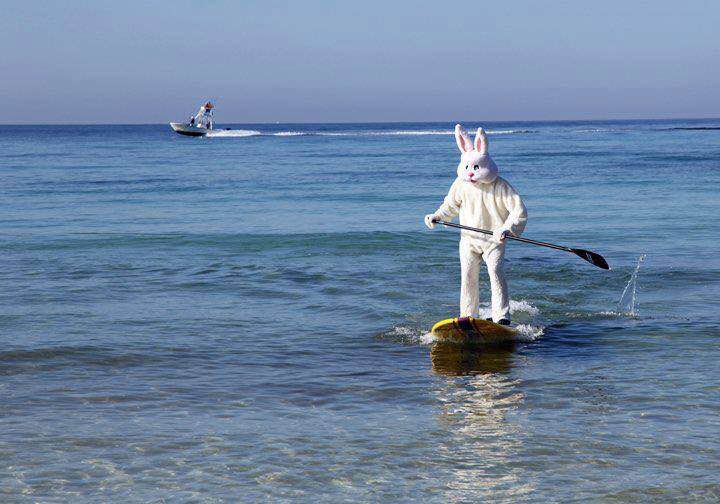 WWAY's tweet photo. Happy Easter! Expect cooler conditions with sunny skies today. PC: Beaches of Brunswick County
http://t.co/toYQnkp4Xc http://t.co/paPwB3WMY6