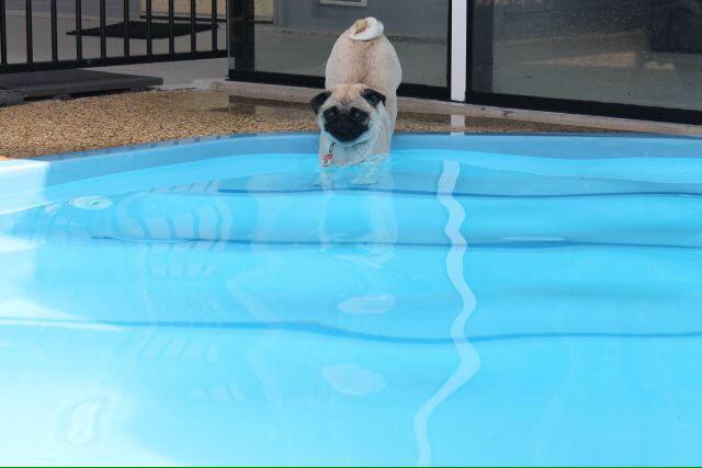 crazylifefacts_'s tweet photo. Me entering adulthood http://t.co/HjGrmmABRU