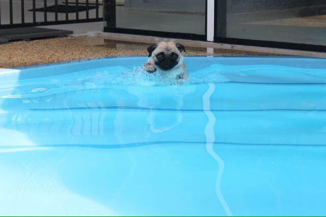 crazylifefacts_'s tweet photo. Me entering adulthood http://t.co/HjGrmmABRU