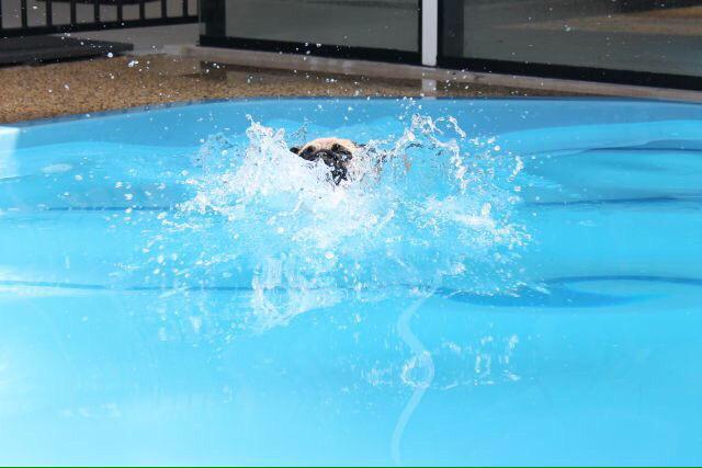 crazylifefacts_'s tweet photo. Me entering adulthood http://t.co/HjGrmmABRU