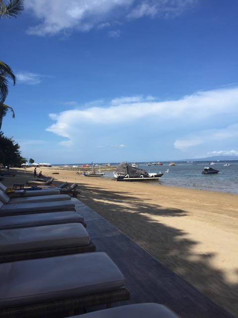 JCOStunts's tweet photo. Happy chocolate day everyone. No eggs out here but plenty of sunshine! #OffForAswim http://t.co/6Ou3Armguc