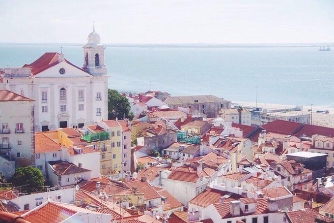 Danika Maia’s pics and videos