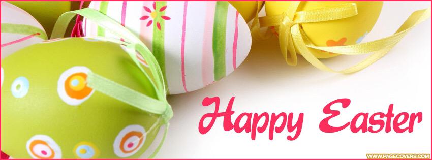 Silverbackwed's tweet image. 