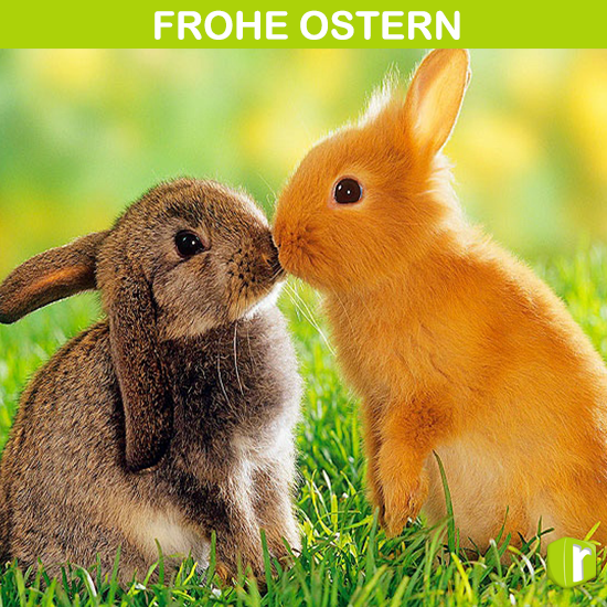 Wir wünschen euch #FroheOstern #Ostern2015 #Osterhase #revvler #revvlen #revvlehase #revvlehasen #HappyEastern