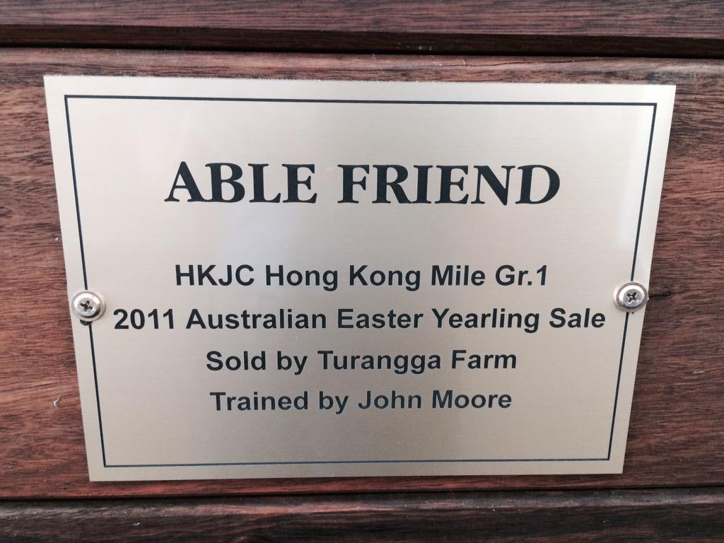 Got to see Able Friends plaque at the sales today. Hoping to pick up one more champion. #goodtypesgallore #topsale