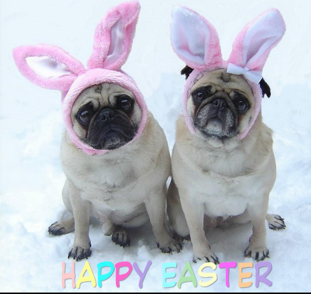 Happy Easter!!