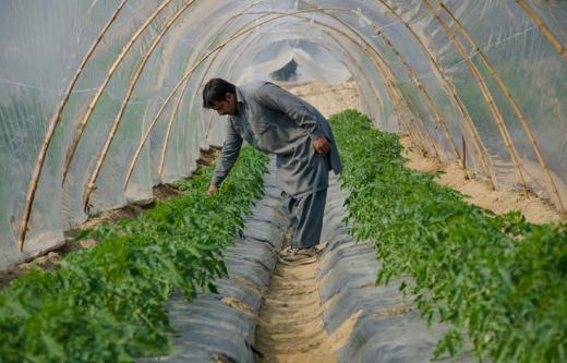 WBG_ClimateEnv's tweet photo. Morgan Stanley analysis: Investing in sustainability pays off: http://t.co/s423kc4HMc #climateaction #investors http://t.co/pHM7ZaWmze