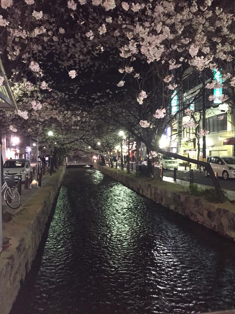 JunethaSyed's tweet image. Spring in Kyoto, awesome as always 😄😇