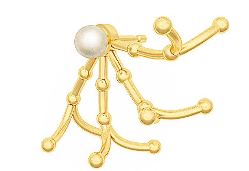 PJeweller's tweet photo. #TRENDS IN PICS: #fashion and #finejewellery earring jackets http://t.co/XxqnY3AdK5 #earringjacket #earcuffs http://t.co/r4WXK9RddL