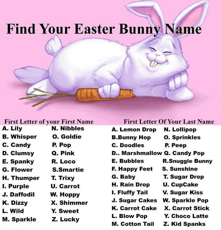 Heydiddledee I M Pop Carrot Cake And What Is Your Name Easterbunnyname Http T Co Pjth1lauyv