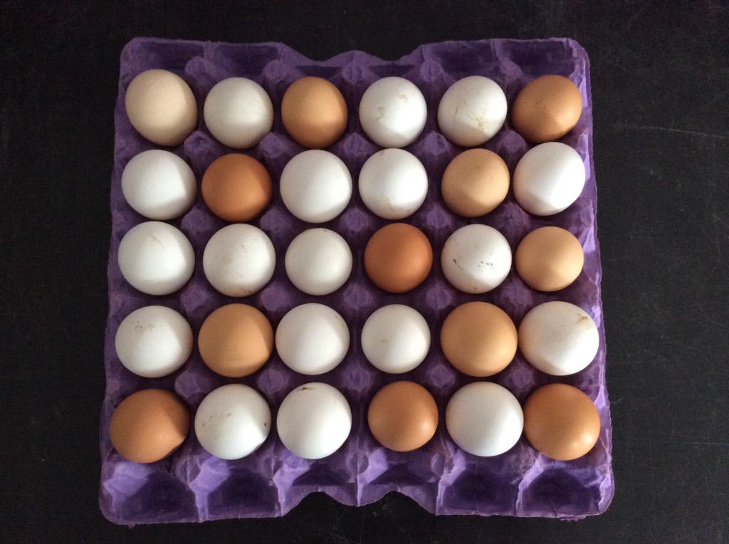 Hayırlı pazarlar.#breakfast #kahvalti #DoğaZamanı #PazarKahvaltısı #egg