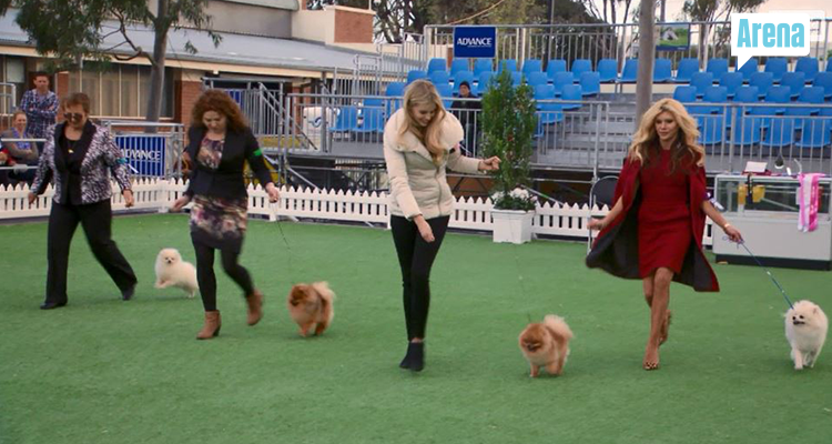 RHOMelbourne's tweet photo. Looking good Cash! @GambleBreaux #RHOMelbourne http://t.co/74KTJxcSVW