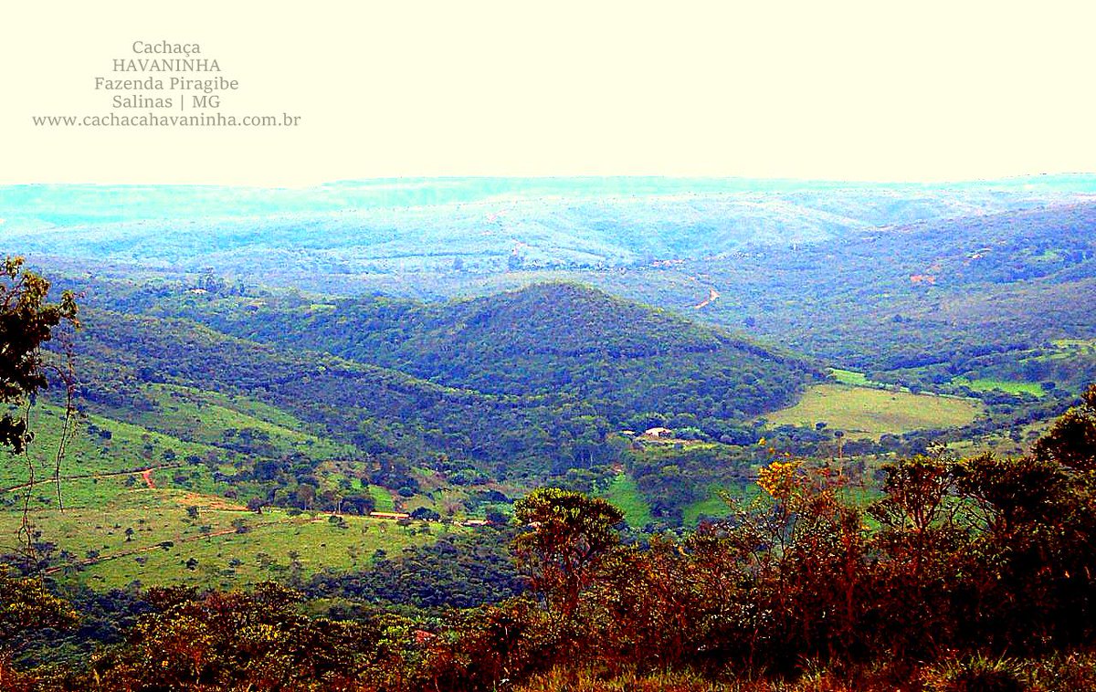 Fazenda Piragibe, zona rural de Salinas, onde é produzida a cachaça Havaninha com esmero e capricho.