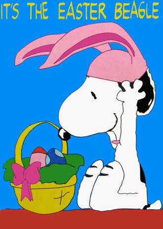 Happy Hoppy Easter/Pascha, Ronde van Vlaanderen, Caturday, Birthday (Hayley Atwell!) or whatever it is you celebrate. 
