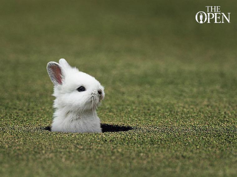 TheOpen's tweet photo. Happy Easter! http://t.co/ppUpNrdauI