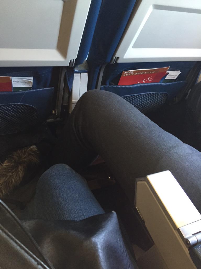 qnineteenb's tweet photo. Yup this is happening. Photo doesn't do a great job of showing this space hog. Close your legs asshole. #planefail http://t.co/K1fNEEN1Tl