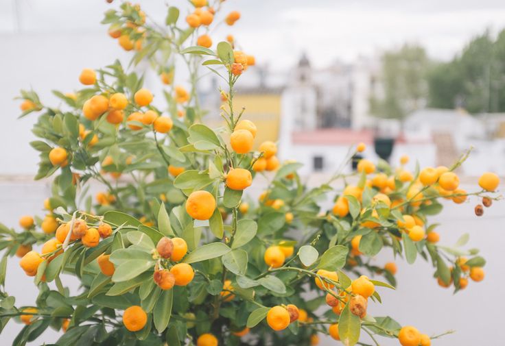 View more stunning pictures at: 
 
bestholidayreviews.com 
 
#travel #Hotel #vacation #adventure #tourism #trip