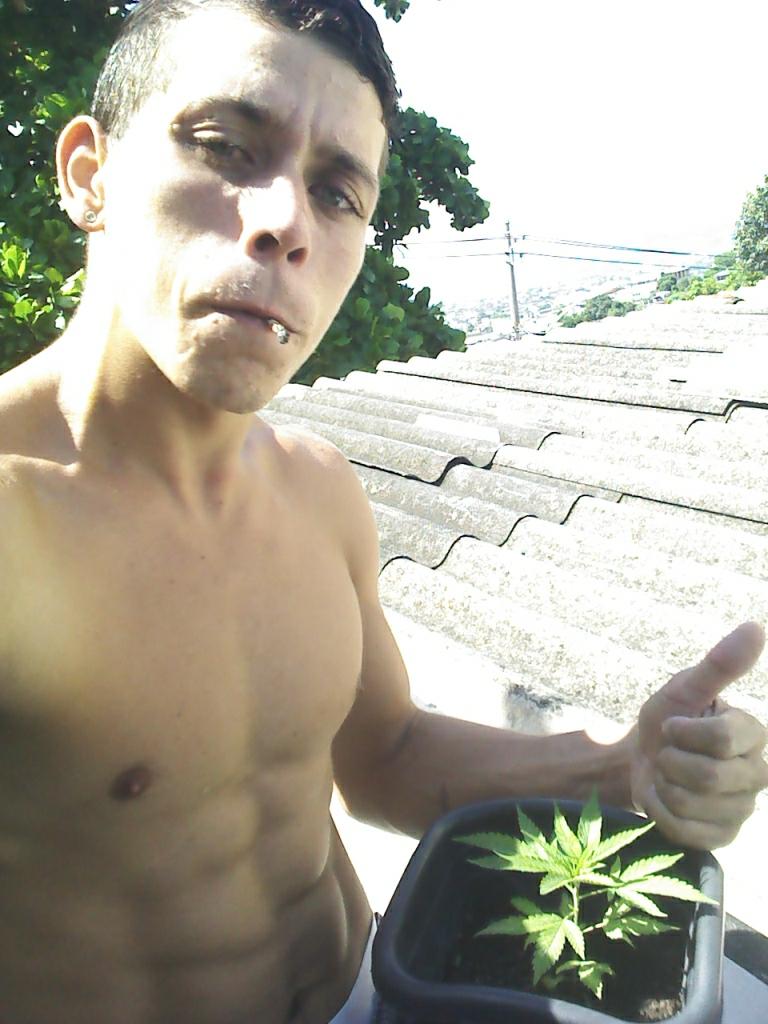 LoolaThiago's tweet photo. Boa tarde rapaziada rastafári http://t.co/72OaM3nmnP