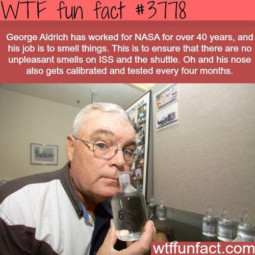 katwilson04's tweet image. 29 days till I'm 30. Here's #fact2