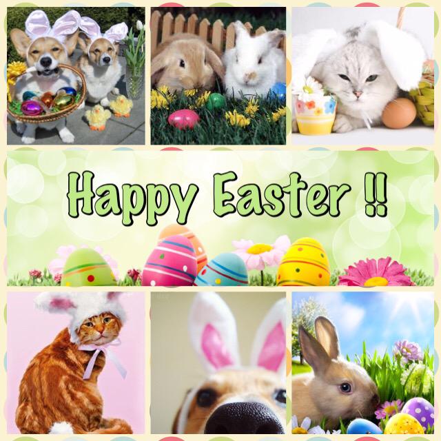 MississaugaAH's tweet photo. Happy Easter Everyone!! http://t.co/uGPVhS1Yot