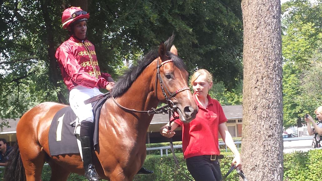 German Racing Review tweet media