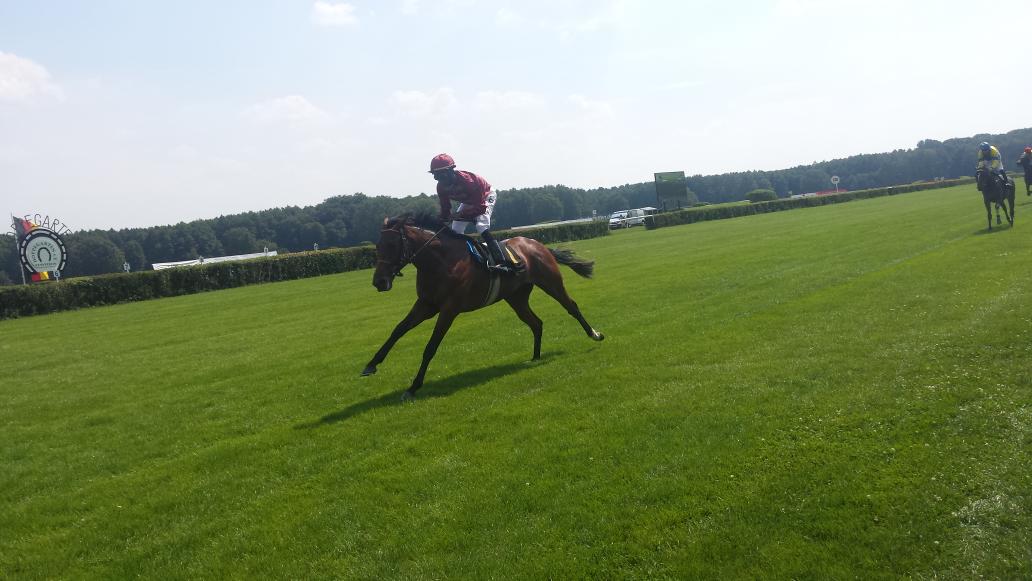 German Racing Review tweet media